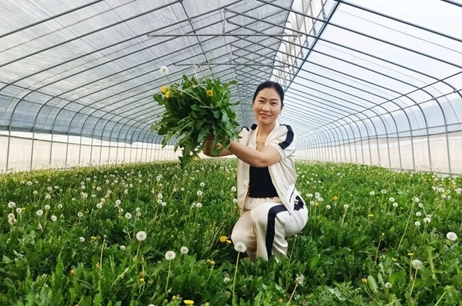 企業家風采｜陳玉芹：讓小小蒲公英托起鄉村振興大希望