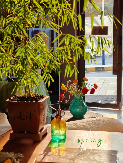 中國首屆艾灸館館長峰會丨一場融合館長智慧與三伏養生絕技的灸業里程碑盛典！