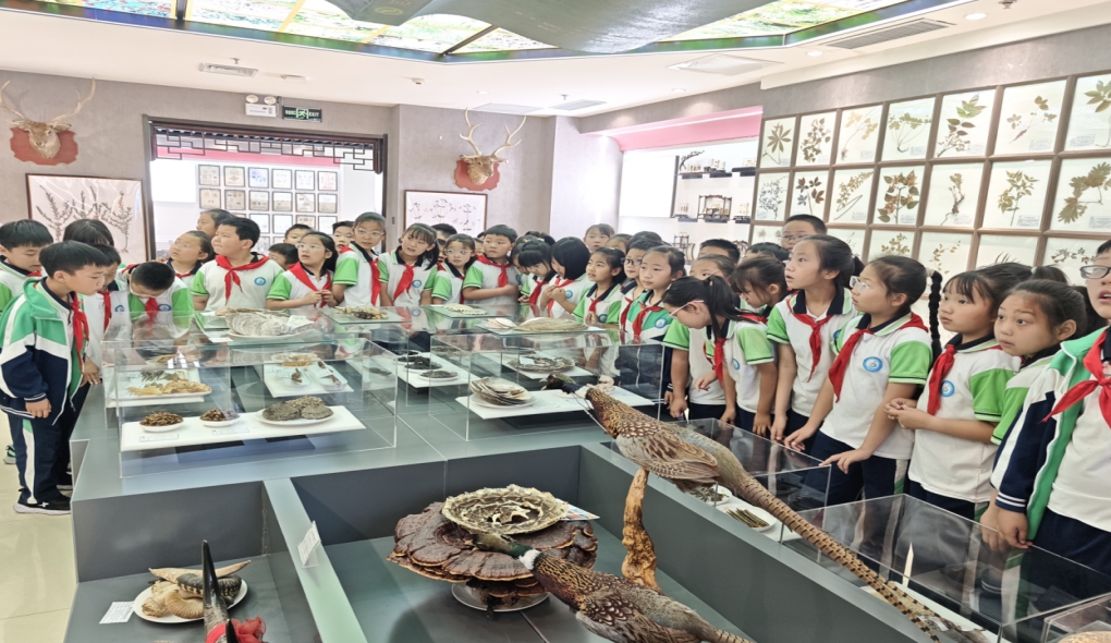 邯鄲涉縣新北關小學慶六一、學中醫知識 ，走進涉縣中醫院中醫藥文化博物館